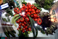 مرکز ملی ذخایر ژنتیکی و زیستی ایران در نمایشگاه اکسپو تهران ۲۰۲۵