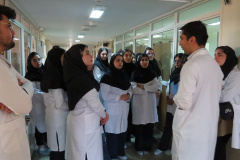بازدید دانشجویان دانشگاه آزاد اسلامی واحد کرج از مرکز ملی ذخایر ژنتیکی و زیستی ایران