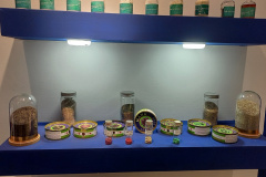 حضور مرکز ملی ذخایر ژنتیکی و زیستی ایران در نمایشگاه دستاوردهای شاخص جهاددانشگاهی