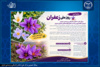 گنجینه زنده زعفران ایران در مرکز ملی ذخایر ژنتیکی و زیستی ایران؛ ۲۲ گونه در یک کلکسیون ملی