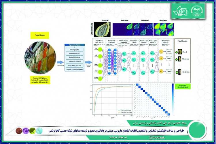 طراحی و  ساخت اپلیکیشن شناسایی و تشخیص تقلبات گیاهان دارویی، مبتنی بر یادگیری عمیق و توسعه مدلهای شبکه عصبی کانولوشنی*