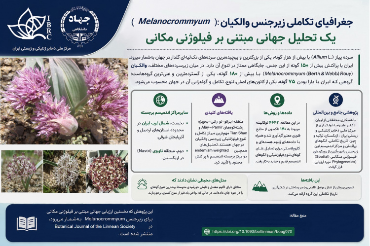 جغرافیای تکاملی زیرجنس والکیان (Melanocrommyum): یک تحلیل جهانی مبتنی بر فیلوژنی مکانی