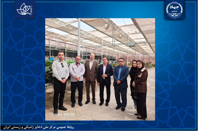 بازدید رئیس مرکز ملی ذخایر ژنتیکی و زیستی ایران از شرکت مزارع نوین ایرانیان (کشت بافت گیاهی، آزمایشگاه فناور)