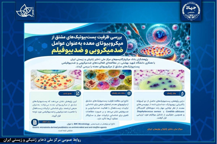بررسی ظرفیت پست‌بیوتیک‌های مشتق از میکروبیوتای معده به‌عنوان عوامل ضدمیکروبی و ضدبیوفیلم