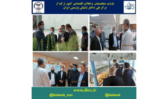 در بازدید متخصصان و فعالان اقتصادی کشور ترکیه از مرکز