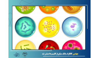 چهلمین کاتالوگ بانک میکروارگانیسم ها منتشر شد