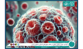 افزایش تنوع رده‌های سلولی در بانک سلول‌های انسانی و جانوری ایران