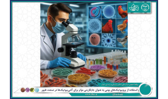 استفاده از پروبیوتیک‌های بومی به عنوان جایگزینی مؤثر برای آنتی‌بیوتیک‌ها در صنعت طیور