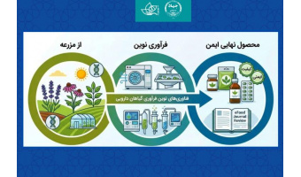 مروری جامع بر فناوری‌های نوین فرآوری گیاهان دارویی؛ از مزرعه تا محصول نهایی ایمن