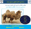 شناسایی و ثبت بارکد DNA شتر دوکوهانه ایران