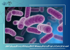 تصویب دو طرح مشترک در حوزه کاربرد پزشکی پروبیوتیکها  با همکاری پژوهشکده زیست فناوری رویان اصفهان
