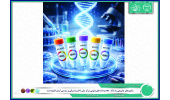 وکتورهای چاپرونی به بانک  DNA و داده های ژنومی مرکز ملی ذخایر ژنتیکی و زیستی ایران افزوده شد