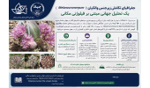 جغرافیای تکاملی زیرجنس والکیان (Melanocrommyum): یک تحلیل جهانی مبتنی بر فیلوژنی مکانی