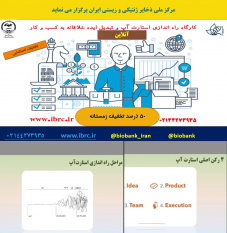 برگزاری آنلاین دوره اموزشی، آموزش راه اندازی استارت اپ و تبدیل ایده خلاقانه به کسب و کار