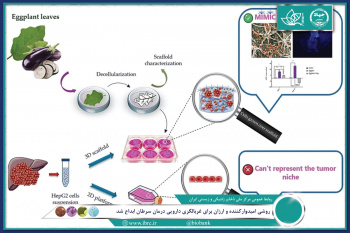 روشی امیدوارکننده و ارزان برای غربالگری دارویی درمان سرطان ابداع شد