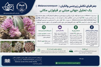 جغرافیای تکاملی زیرجنس والکیان (Melanocrommyum): یک تحلیل جهانی مبتنی بر فیلوژنی مکانی