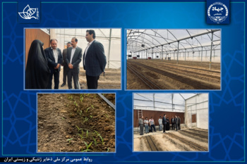 بازدید نماینده سابق مردم کرج در مجلس شورای اسلامی از گلخانه‌های بانک گیاهی مرکز ملی ذخایر ژنتیکی و زیستی ایران